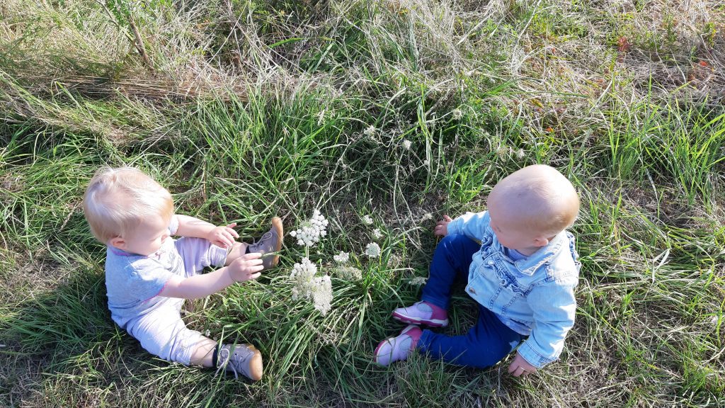 Über Uns - Wald- und Naturkindergarten Meckenheim e.V.